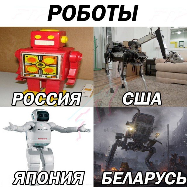 20260211177083696167477.jpg