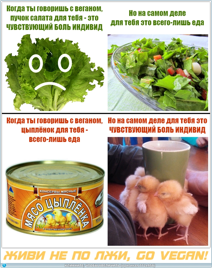 https://fotozavr.ru/photos/20260923179019836152139.jpg